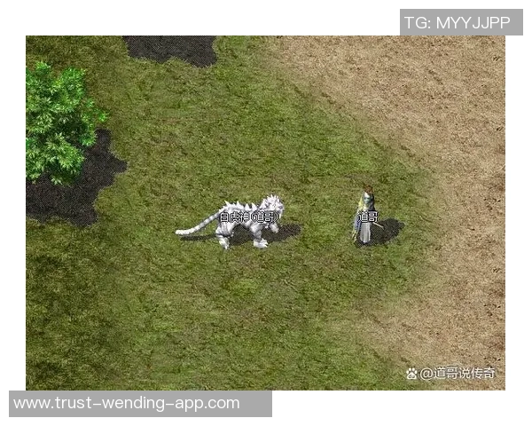 狂野足球虎的传奇之路：从草根到巅峰的热血奋斗故事